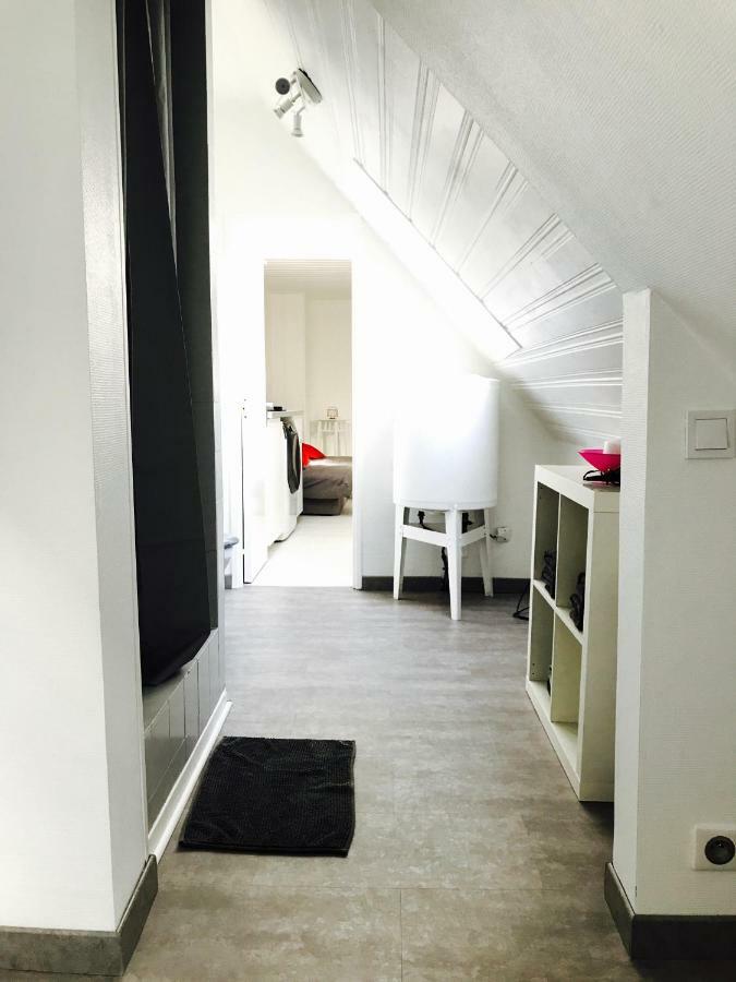 F1 Atypique Au Centre De Strasbourg Apartment ภายนอก รูปภาพ
